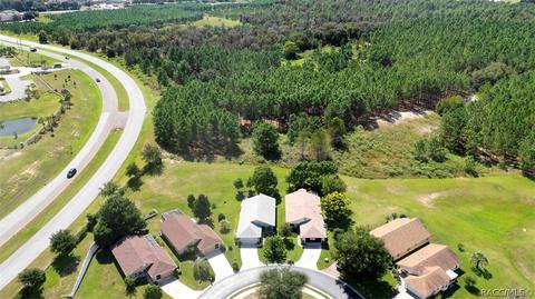 779 W Toucan Loop, Hernando, FL 34442 photo 7