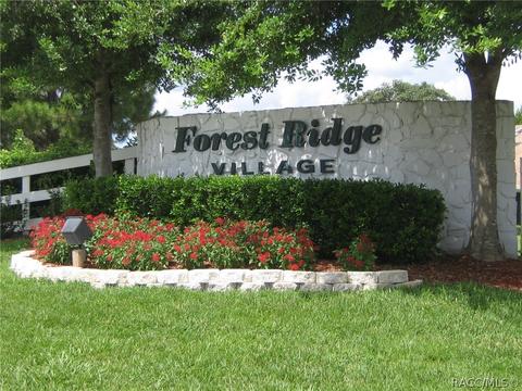 779 W Toucan Loop, Hernando, FL 34442 photo 48