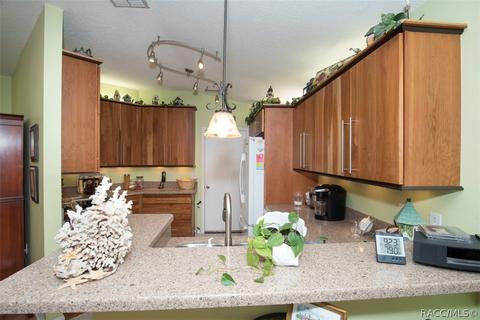 779 W Toucan Loop, Hernando, FL 34442 photo 13