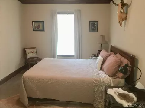 4165 N Elwyn Pt, Hernando, FL 34442 photo 24