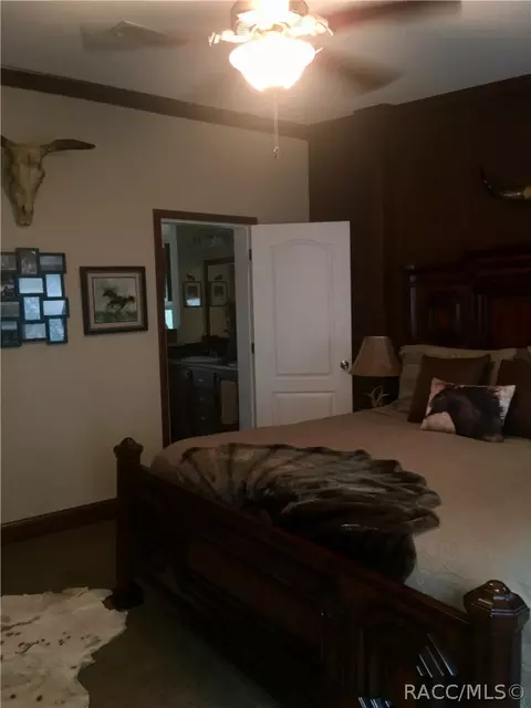 4165 N Elwyn Pt, Hernando, FL 34442 photo 17