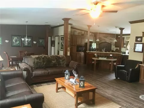 4165 N Elwyn Pt, Hernando, FL 34442 photo 5