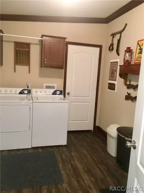 4165 N Elwyn Pt, Hernando, FL 34442 photo 13