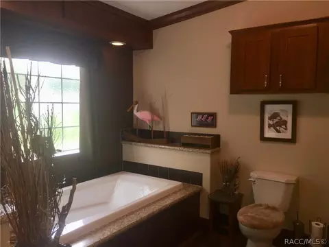 4165 N Elwyn Pt, Hernando, FL 34442 photo 19