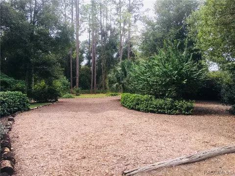 4165 N Elwyn Pt, Hernando, FL 34442 photo 35