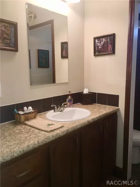 4165 N Elwyn Pt, Hernando, FL 34442 photo 23