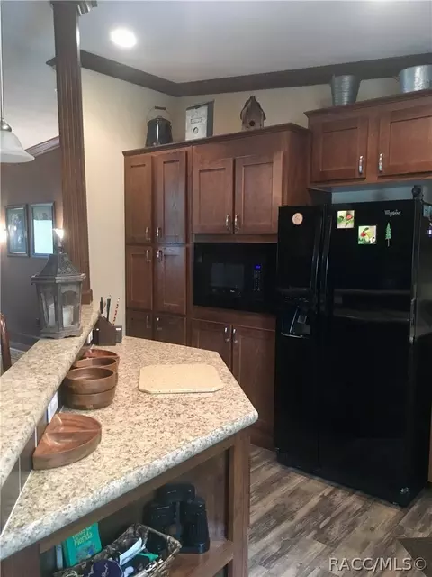 4165 N Elwyn Pt, Hernando, FL 34442 photo 29