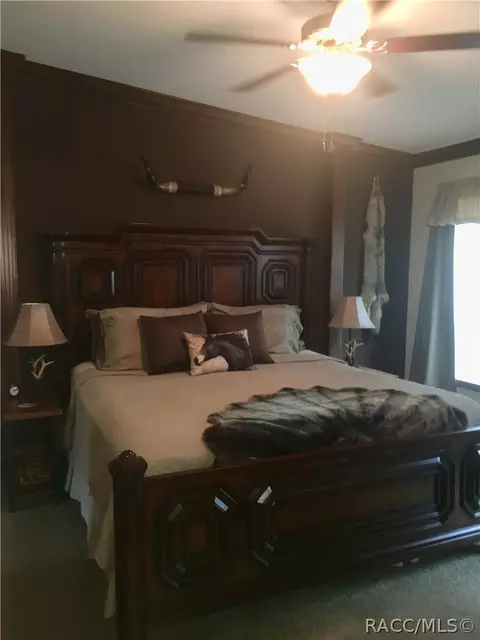4165 N Elwyn Pt, Hernando, FL 34442 photo 16