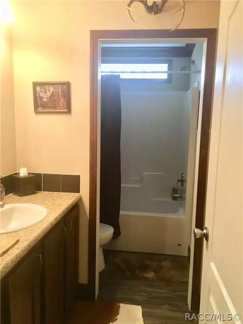 4165 N Elwyn Pt, Hernando, FL 34442 photo 27