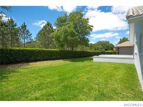 912 W Silver Meadow Loop, Hernando, FL 34442 photo 34