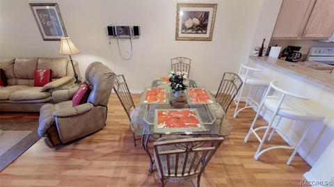 1696 W Spring Meadow Loop, Lecanto, FL 34461 photo 11