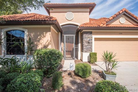 1399 W Skyview Landings Dr, Hernando, FL 34442 photo 7