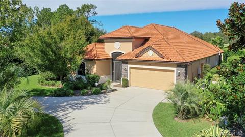1399 W Skyview Landings Dr, Hernando, FL 34442 photo 1