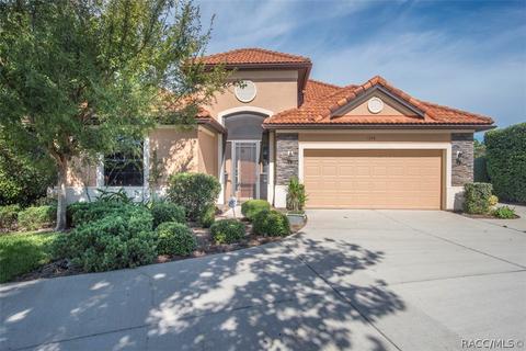 1399 W Skyview Landings Dr, Hernando, FL 34442 photo 6