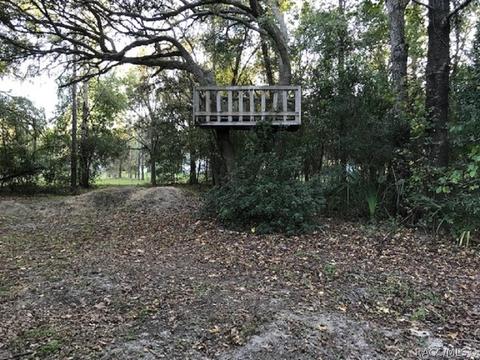 5380 N Western Dr, Hernando, FL 34442 photo 22