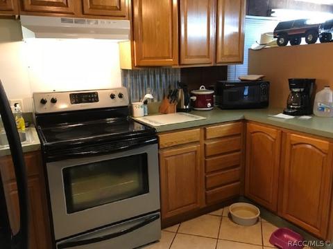 5380 N Western Dr, Hernando, FL 34442 photo 10