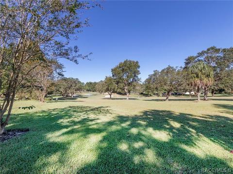 525 Epsom Ct, Hernando, FL 34442 photo 19