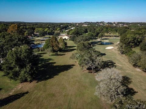 525 Epsom Ct, Hernando, FL 34442 photo 22