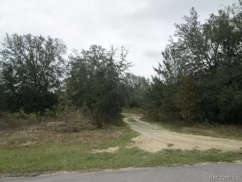 824 E Overdrive Cir, Hernando, FL 34442 photo 4