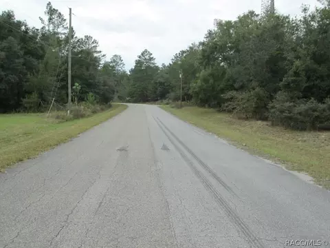 824 E Overdrive Cir, Hernando, FL 34442 photo 7