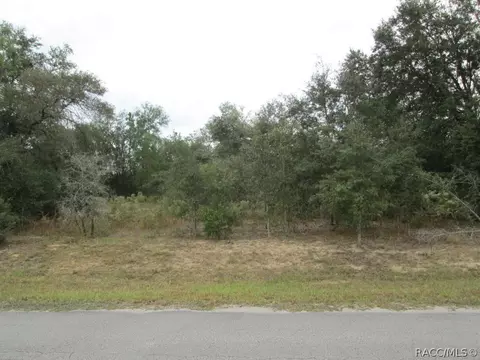 824 E Overdrive Cir, Hernando, FL 34442 photo 1