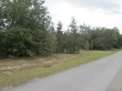 824 E Overdrive Cir, Hernando, FL 34442 photo 3