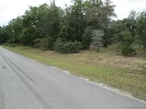 824 E Overdrive Cir, Hernando, FL 34442 photo 2