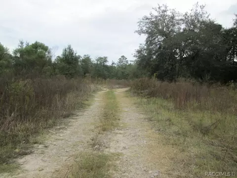 824 E Overdrive Cir, Hernando, FL 34442 photo 5
