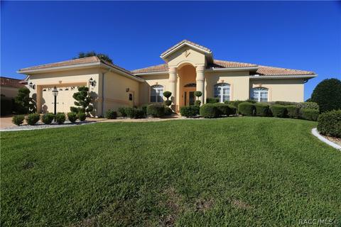 11 W Mickey Mantle Path, Hernando, FL 34442 photo 1