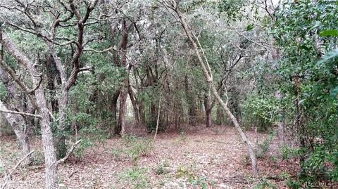 477 E Joshua Ct, Hernando, FL 34442 photo 1