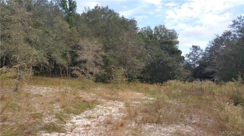 477 E Joshua Ct, Hernando, FL 34442 photo 2
