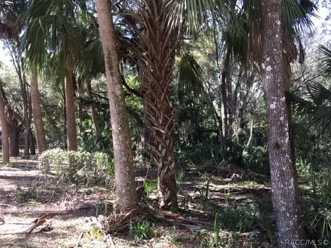 53 Lori St, Inglis, FL 34449 photo 2