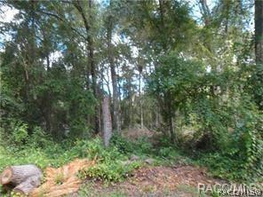 6201 E Slate St, Inverness, FL 34452 photo 1