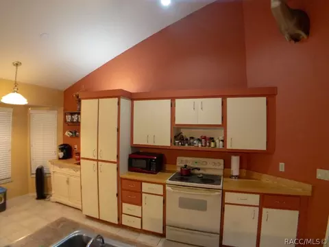 1605 E Cleveland St, Hernando, FL 34442 photo 11