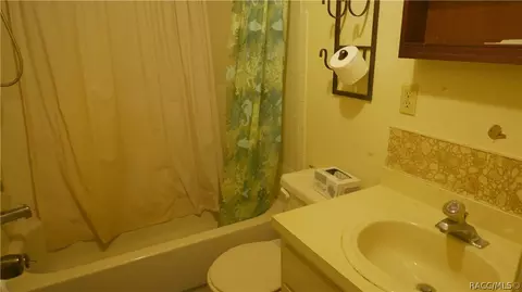 2243 E Maryann Ln, Hernando, FL 34442 photo 22