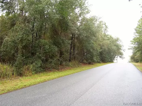1950 E Ray St, Hernando, FL 34442 photo 3
