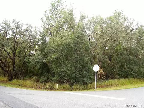 1950 E Ray St, Hernando, FL 34442 photo 1
