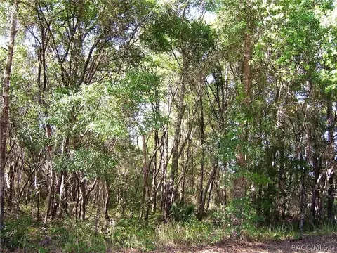 1950 E Ray St, Hernando, FL 34442 photo 2