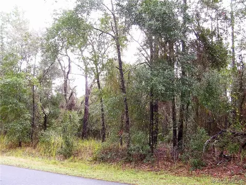 1950 E Ray St, Hernando, FL 34442 photo 4
