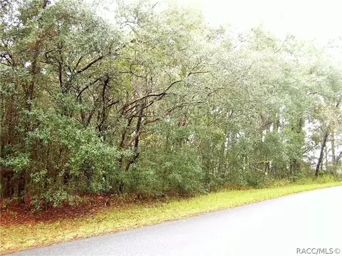 1950 E Ray St, Hernando, FL 34442 photo 6