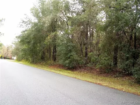 1950 E Ray St, Hernando, FL 34442 photo 5