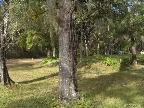 5171 E Barth Ct, Hernando, FL 34442 photo 37