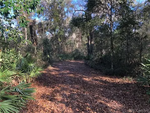 4879 E Marsh Lake Dr, Hernando, FL 34442 photo 33
