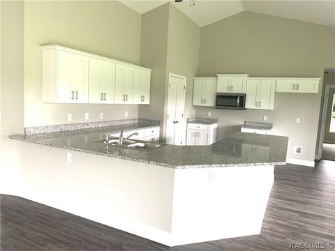 2001 N Annapolis Ave, Hernando, FL 34442 photo 3