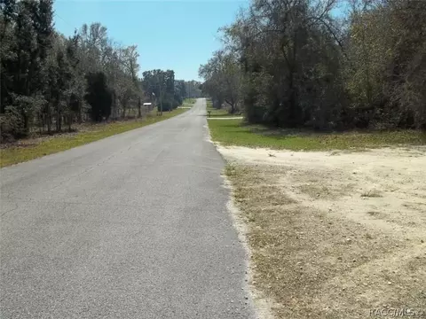 6537 N Flower Ter, Hernando, FL 34442 photo 3
