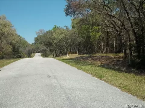 6537 N Flower Ter, Hernando, FL 34442 photo 2
