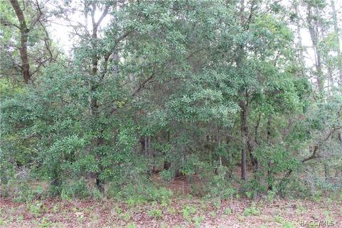 162 N Nashville Ave, Hernando, FL 34442 photo 2