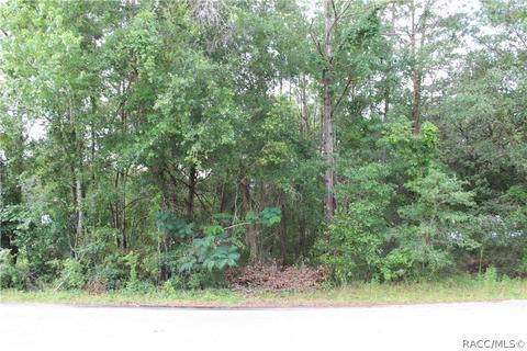 162 N Nashville Ave, Hernando, FL 34442 photo 1