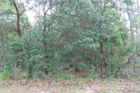 162 N Nashville Ave, Hernando, FL 34442 photo 3
