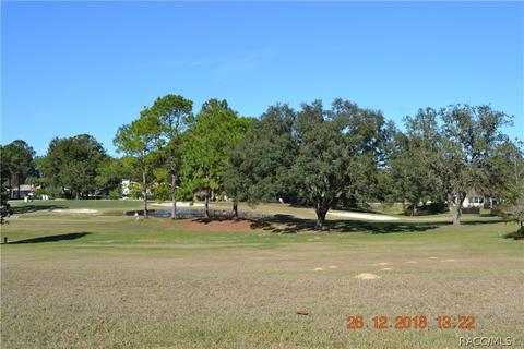479 Epsom Ct, Hernando, FL 34442 photo 10